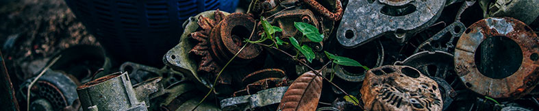 Cuál es el destino de la chatarra que compramos en Renauto